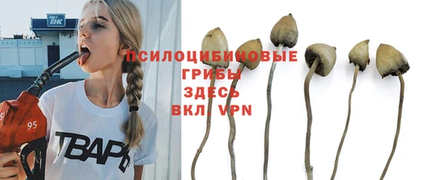 MESCALINE Верхний Тагил