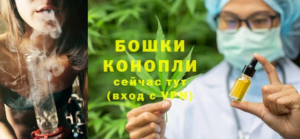 крисы Верея
